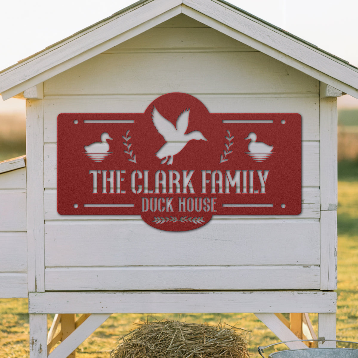Duck House
