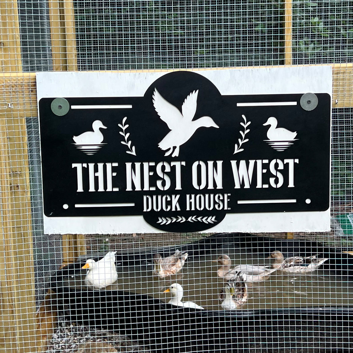 Duck House