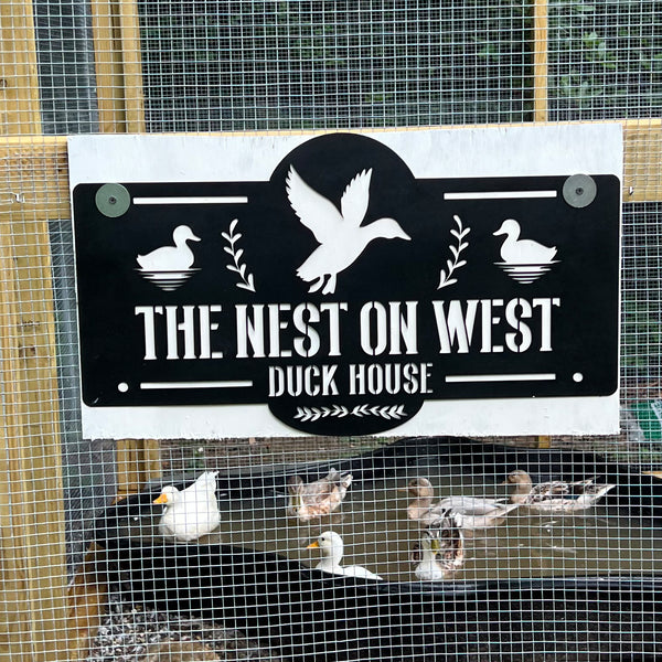 Duck House