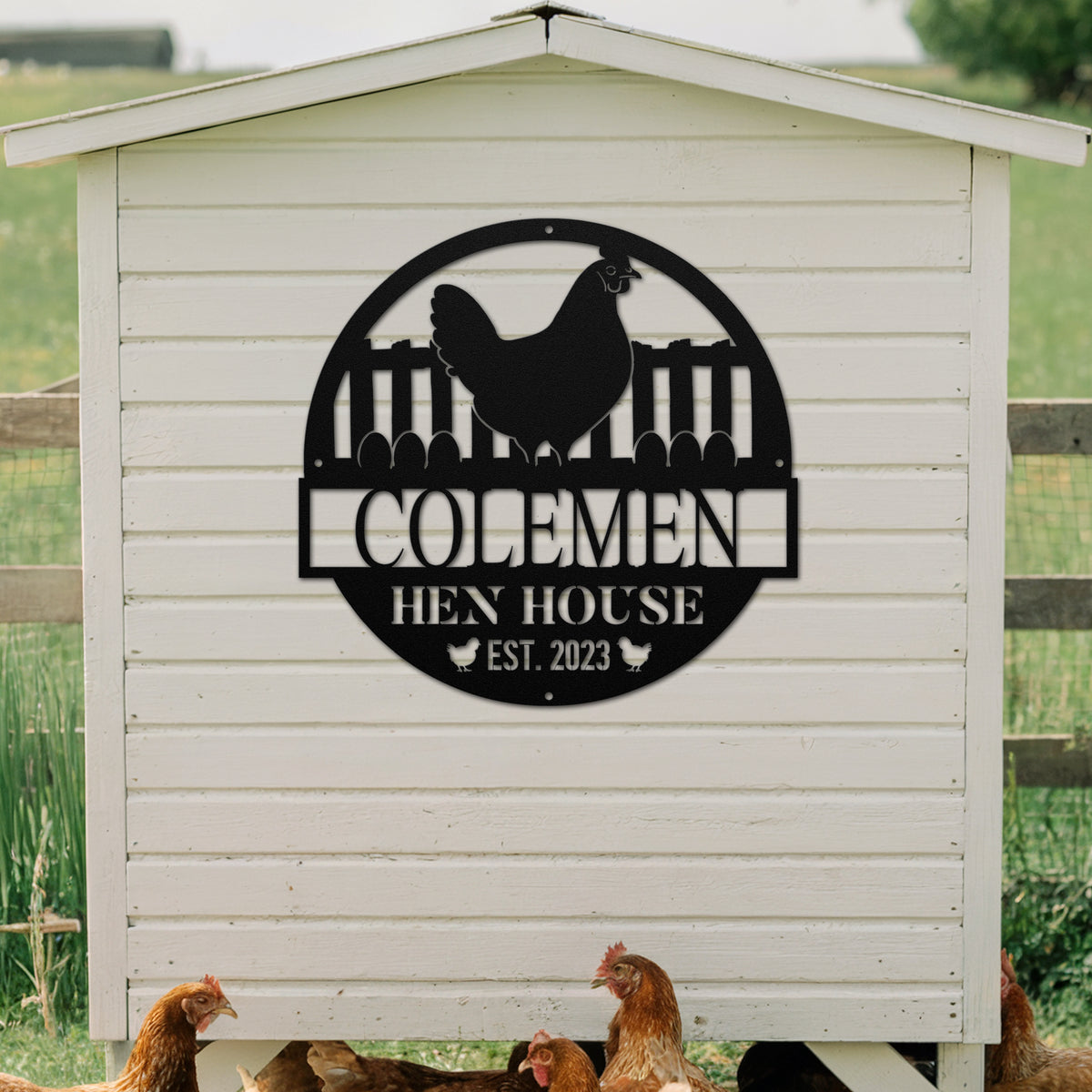 Eggsquisite Coop