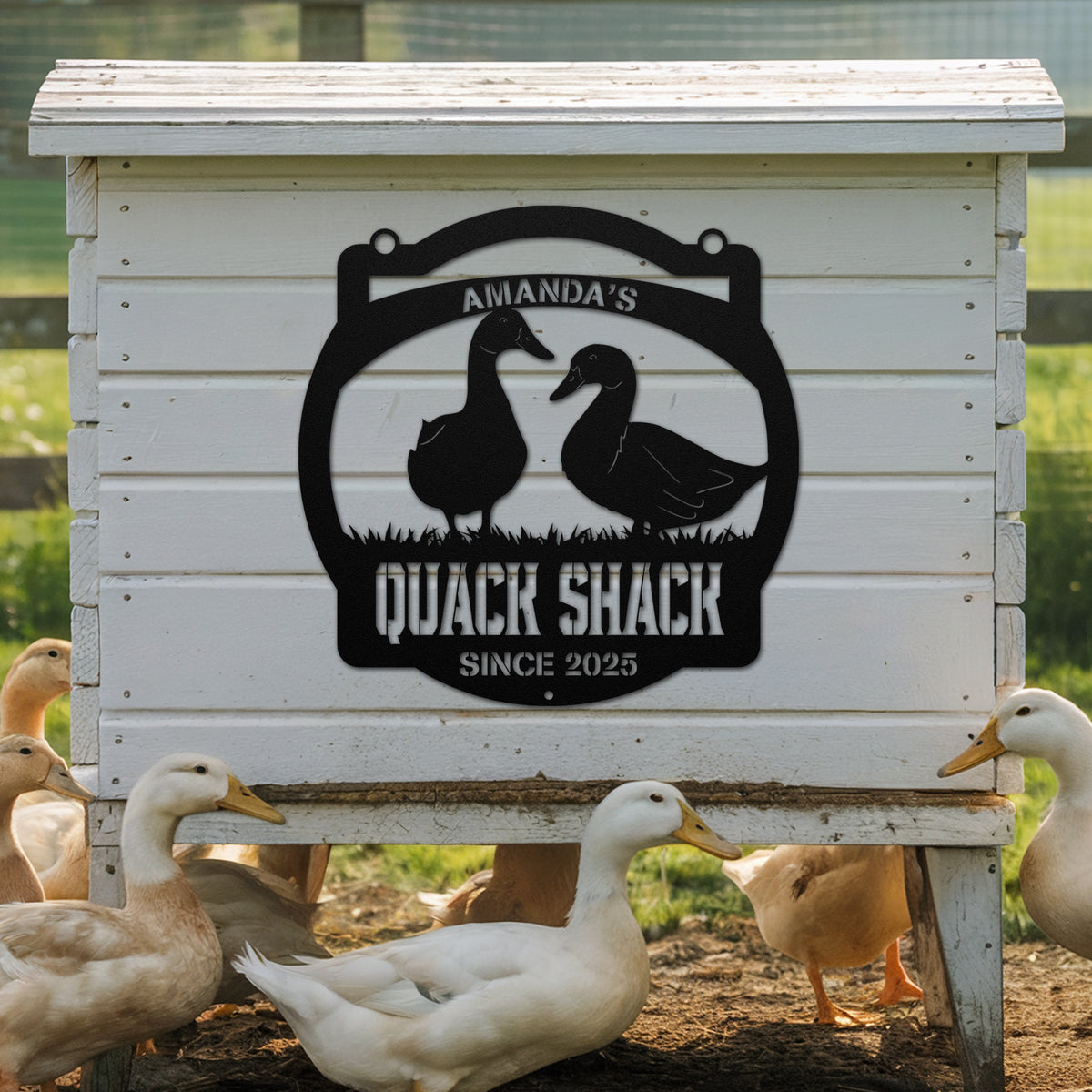 Quack Shack