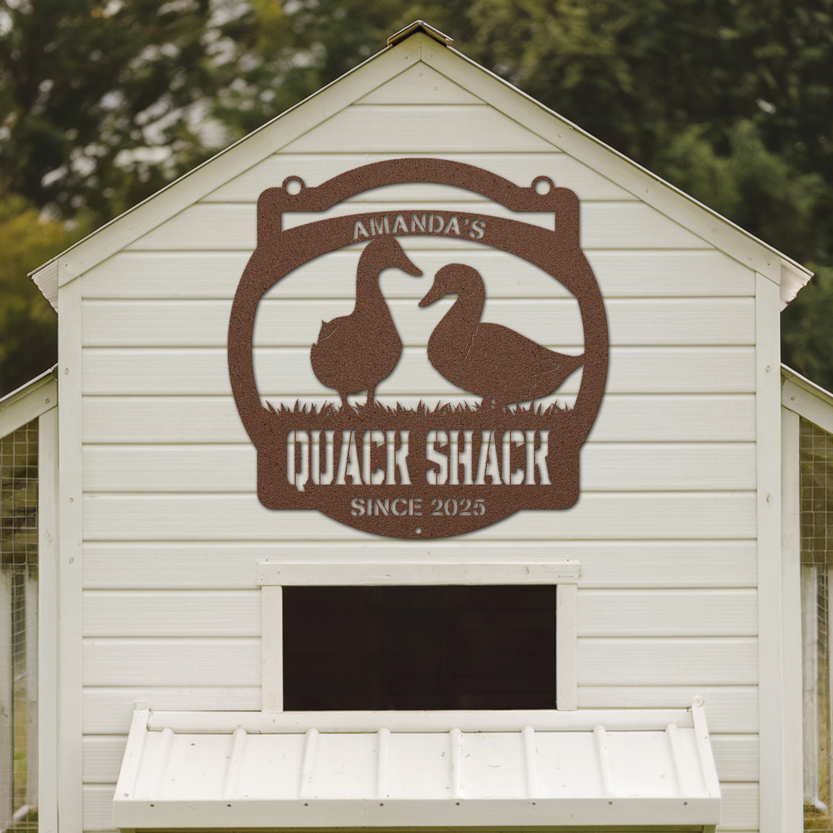 White chicken coop with 'Amanda's Quack Shack' sign featuring two ducks.